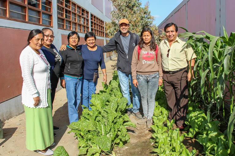 School garden